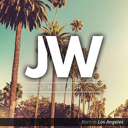 JW Professional Shears Razor Edge Series - Barber & Hair Cutting Scissors/Shears Japanese Stainless 