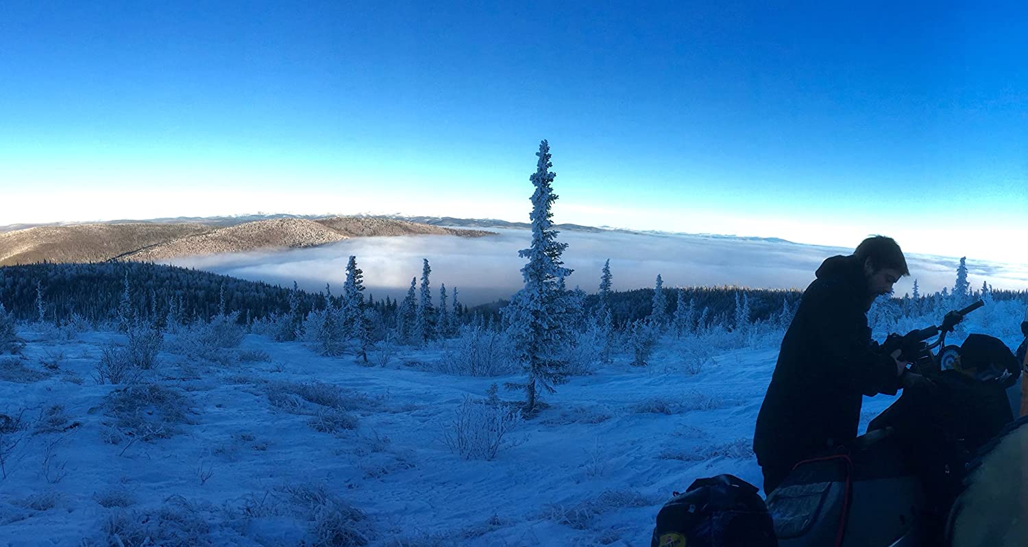 Naturealm Chaga Mushroom Extract - Liquid Drops - Potent Dual Extraction Tincture - Wild-Harvested i