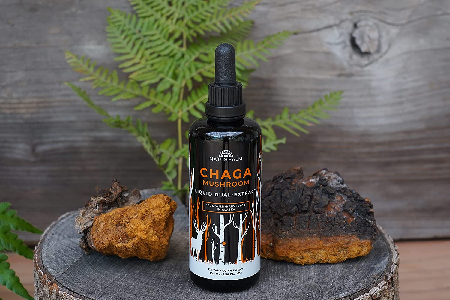 Naturealm Chaga Mushroom Extract - Liquid Drops - Potent Dual Extraction Tincture - Wild-Harvested i