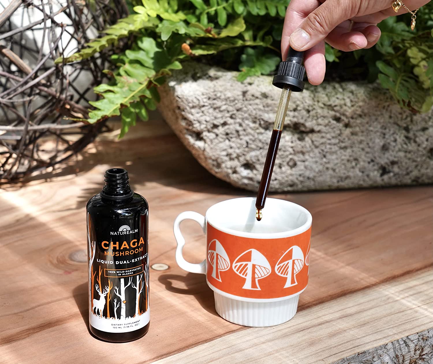 Naturealm Chaga Mushroom Extract - Liquid Drops - Potent Dual Extraction Tincture - Wild-Harvested i