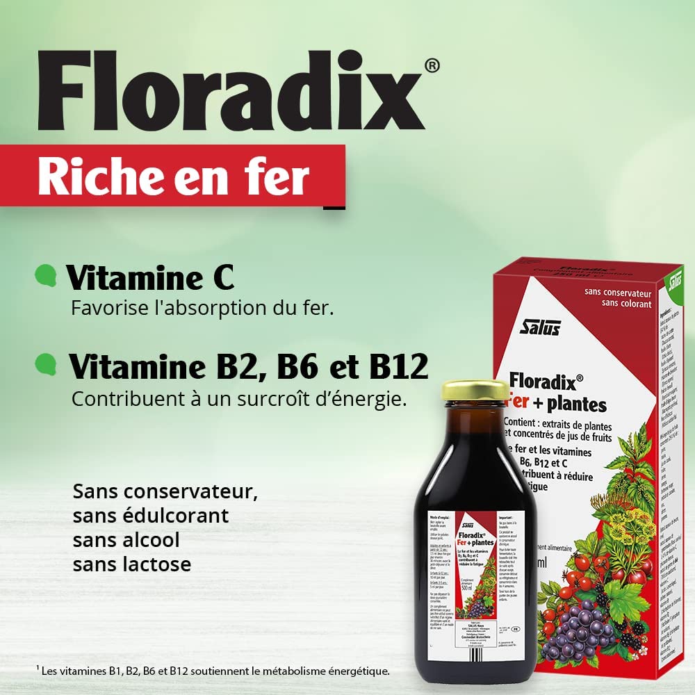 Flora, Floradix Iron + Herbs, Natural Liquid Iron Supplement, 17 fl Ounce (500 ML)