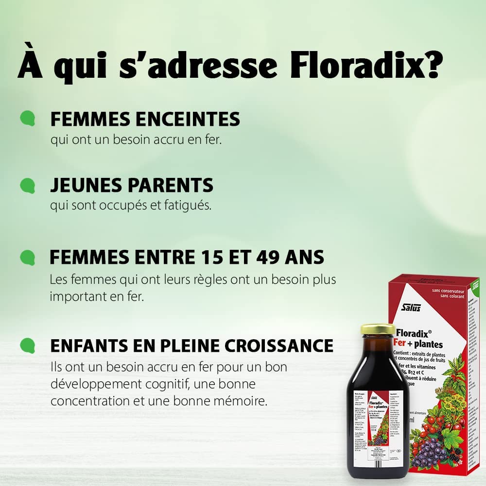 Flora, Floradix Iron + Herbs, Natural Liquid Iron Supplement, 17 fl Ounce (500 ML)