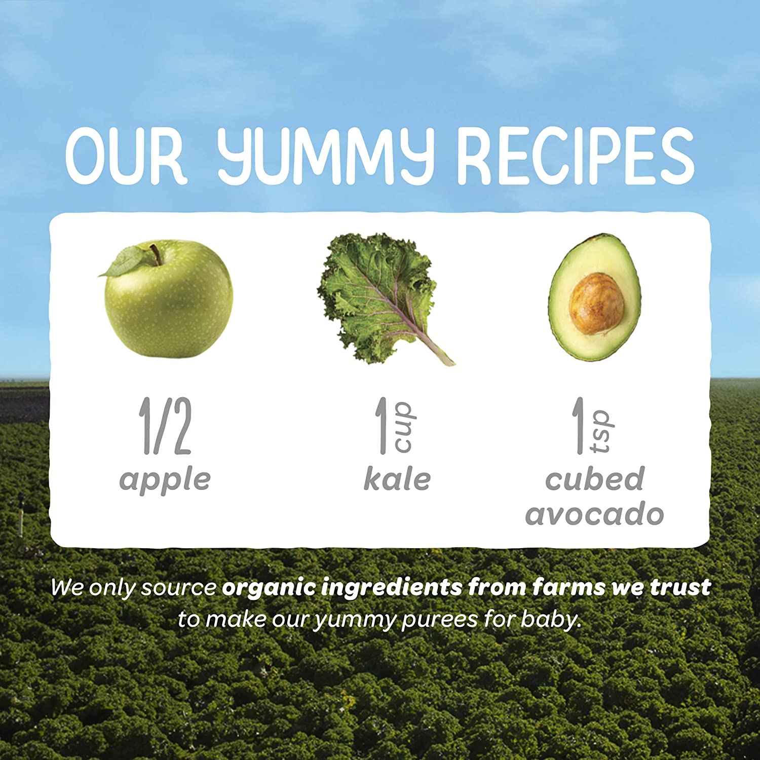 Happy Baby Organics Clearly Crafted Stage 2 Baby Food Apples, Kale & Avocados, 4 Ounce Pouch (Pack o