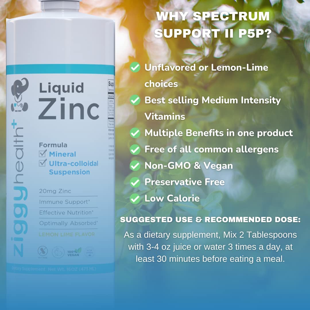 ZiggyHealth Liquid Zinc - Daily Immune Support Zinc Sulfate, Liquid Zinc Supplements, Detox & Skin C