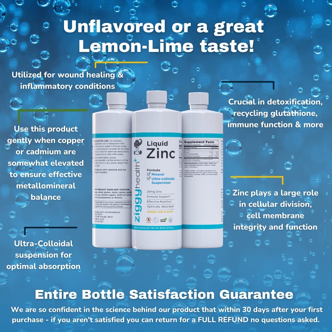 ZiggyHealth Liquid Zinc - Daily Immune Support Zinc Sulfate, Liquid Zinc Supplements, Detox & Skin C