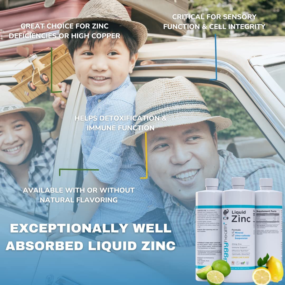 ZiggyHealth Liquid Zinc - Daily Immune Support Zinc Sulfate, Liquid Zinc Supplements, Detox & Skin C