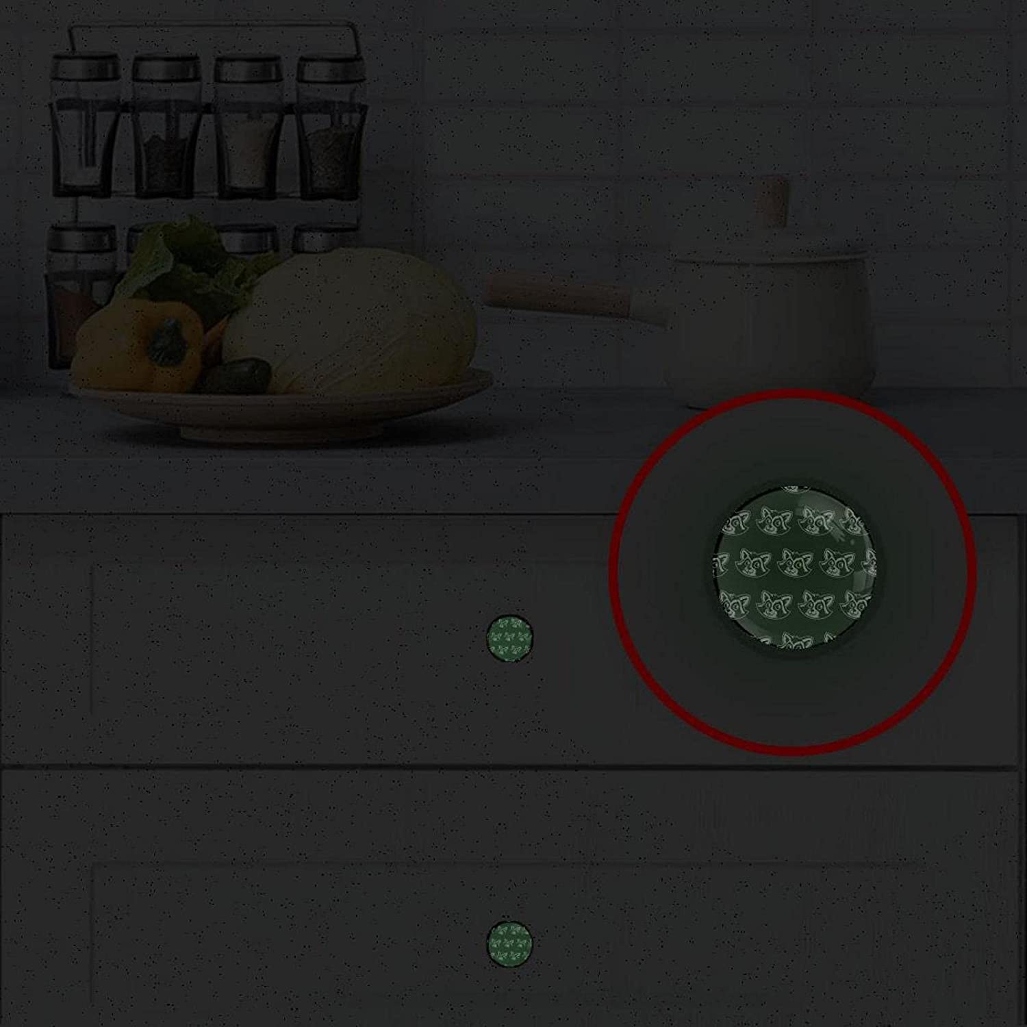 Glass Cabinet Knobs Cute Raccoon with 3D Visual Effects Colorful Design Metal Drawer Dresser Cupboar