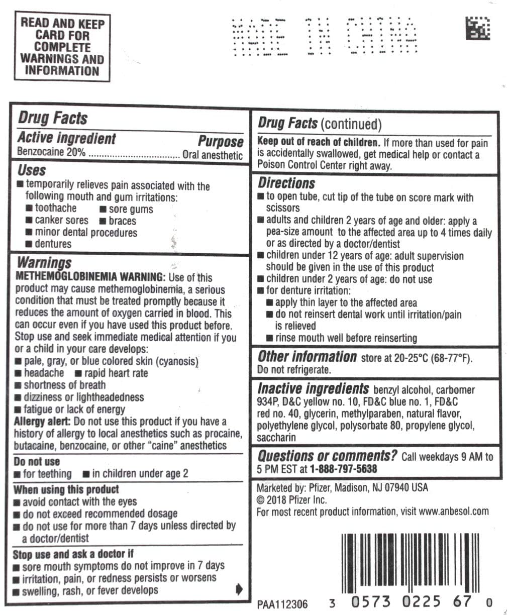 Anbesol Gel Maximum Strength Instant Oral Pain Relief for Toothaches