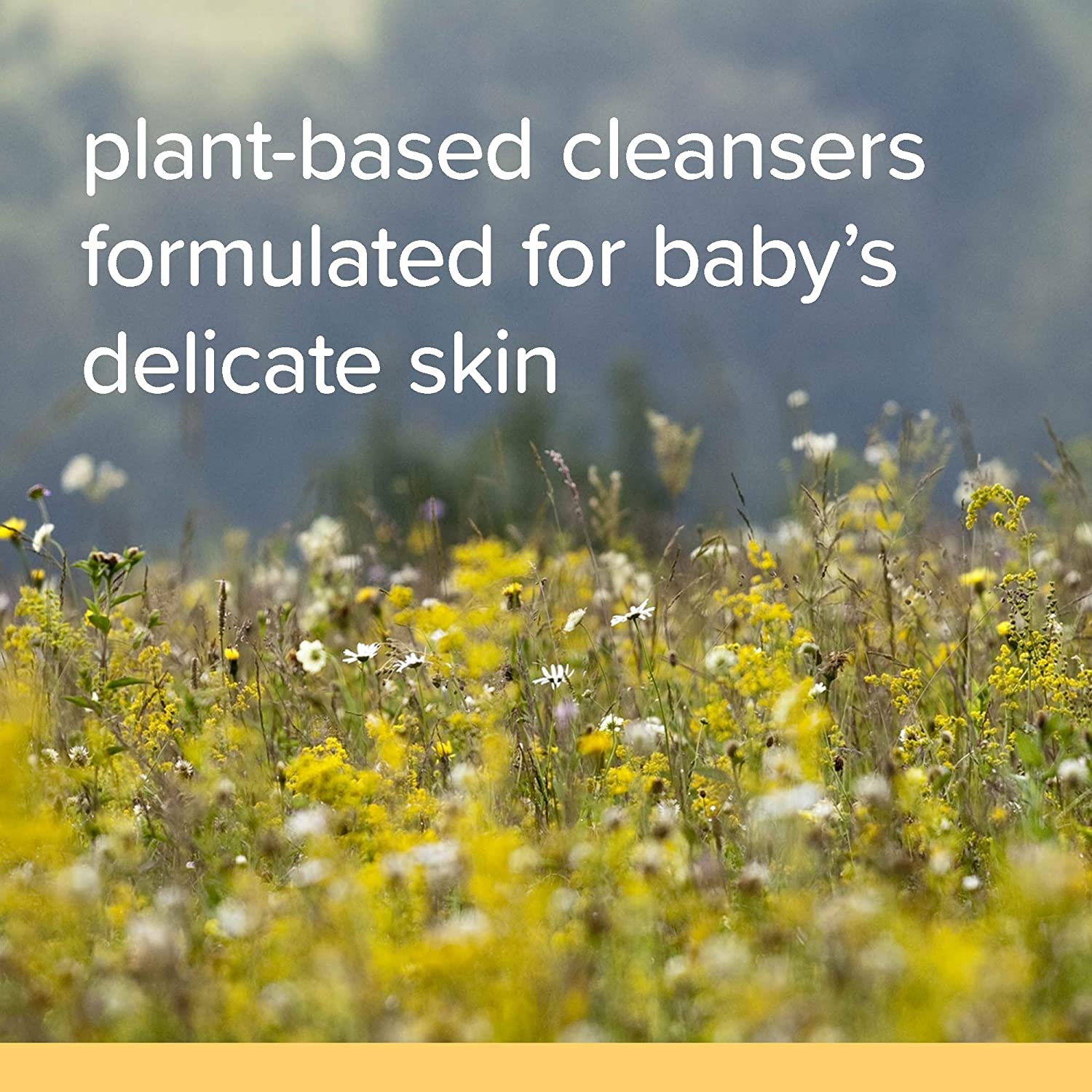 Baby Shampoo & Wash, Burt