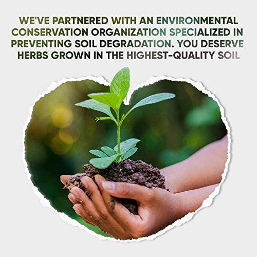 Simply Greener — Stevia Tincture Alcohol-Free Extract, Organic Stevia (Stevia Rebaudiana) Dried Le