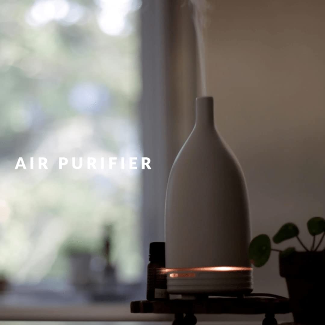 SenseLAB Clove Essential Oil - 100 % Pure Extract Clove Oil Therapeutic Grade - Skin Care Oil - Oral