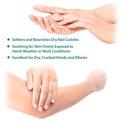 Extra-Strength Tea Tree Foot & Body Cream by Purely Northwest-for Sweat Prone Areas, Soothes Itchy C