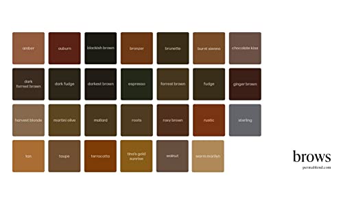 Perma Blend Permanent Makeup for Eyebrows, Used For Microblading and all Permanent Makeup Procedures