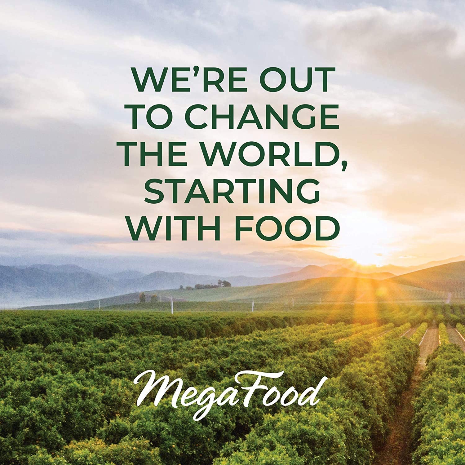 MegaFood Relax + Calm Magnesium Soft Chews - Magnesium Supplement from Citrate and Malate - Gluten F