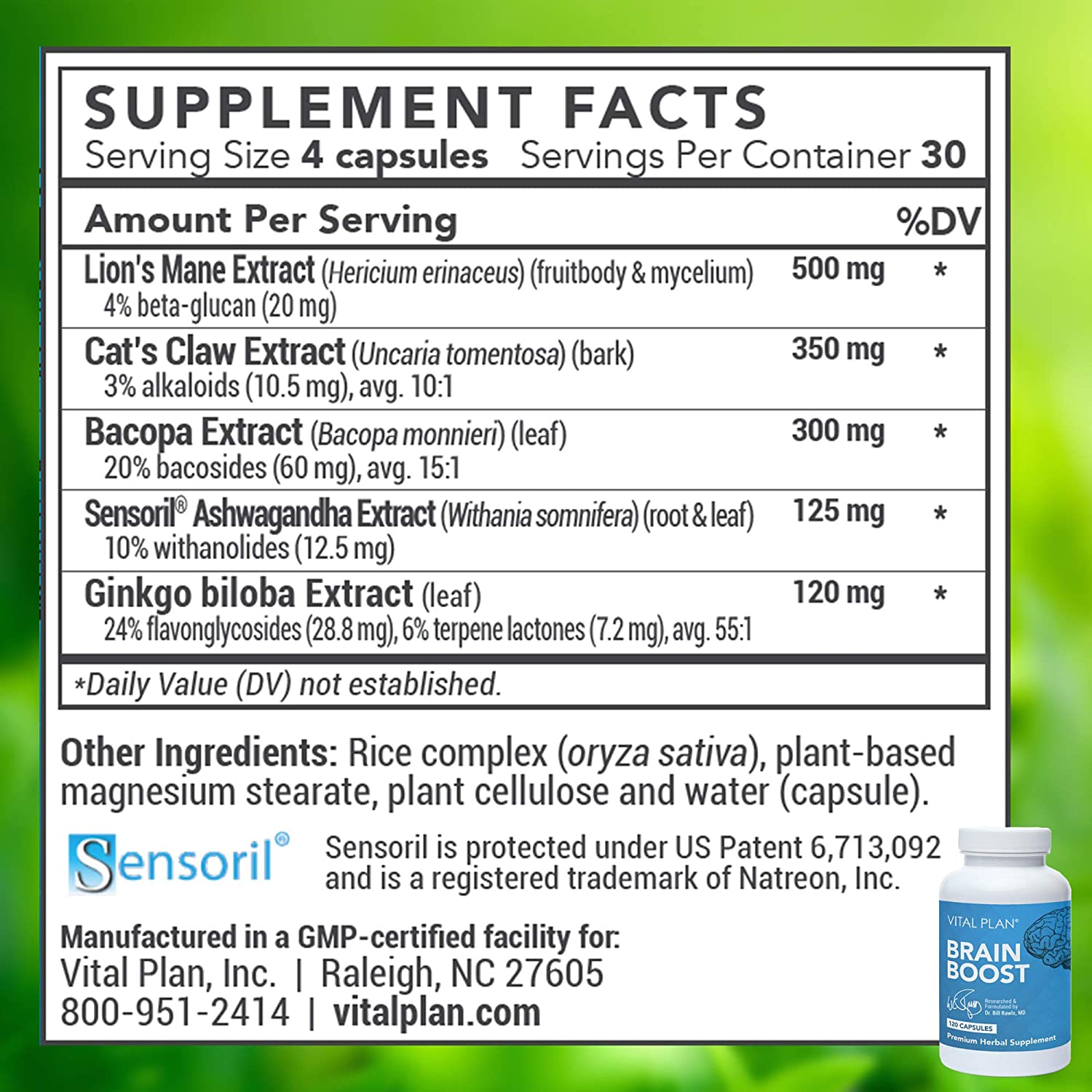 Vital Plan Brain Boost Supplement by Dr. Bill Rawls – Brain Boosting Capsules w/ Lion’s Mane, Ca