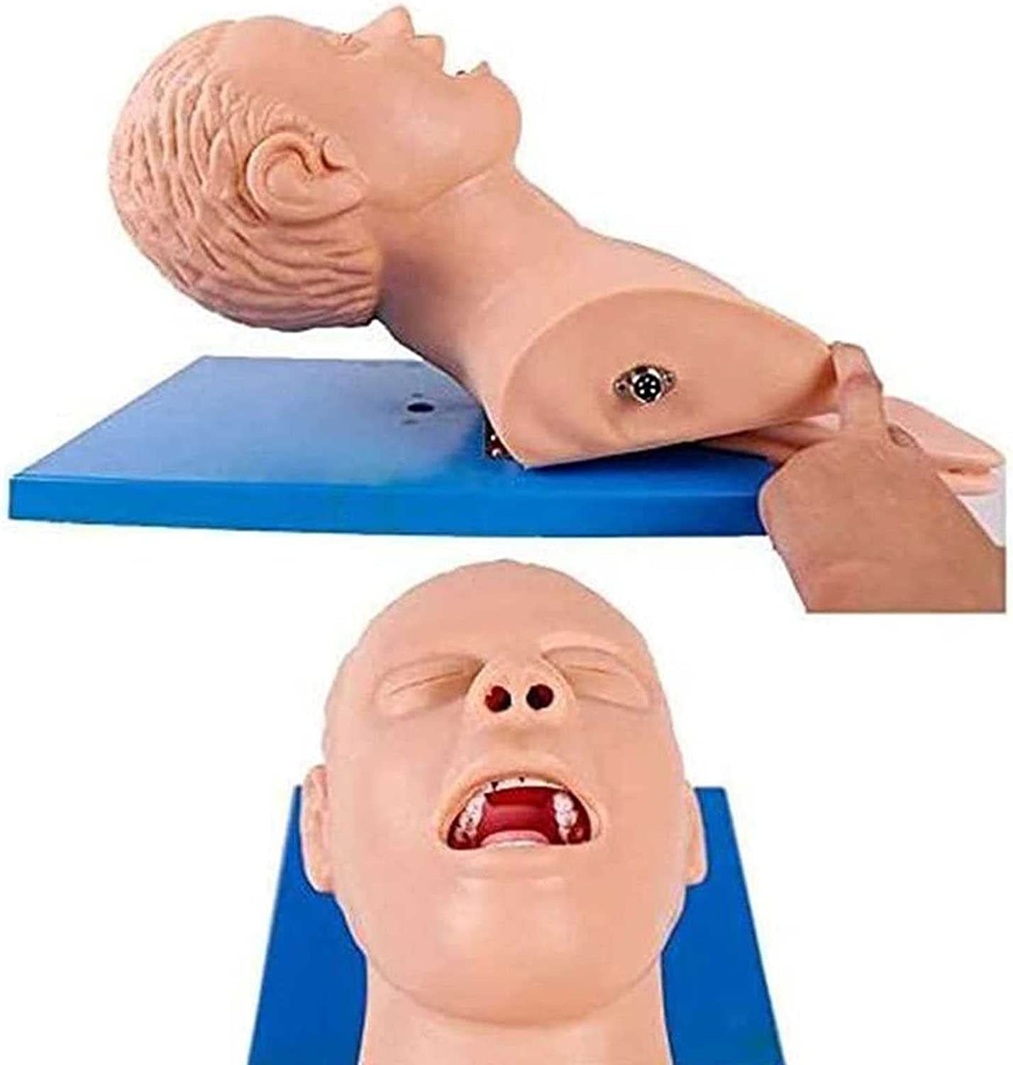 YmnFI Electronic Adult Tracheal Intubation Training Model Manikin Oral Nasal Intubation Tracheal Int
