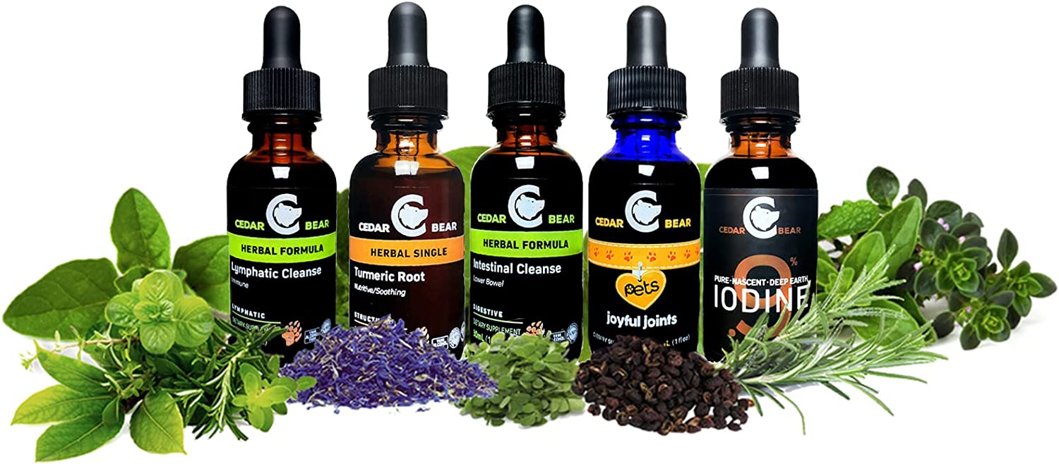 Cedar Bear Kidney Kool for Kids - Soothes, and Supports Urinary System 1 FL Oz