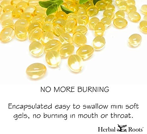 Herbal Roots Oil of Oregano - Made from Mediterranean Oregano Oil - 90 Easy to Swallow Softgel Capsu