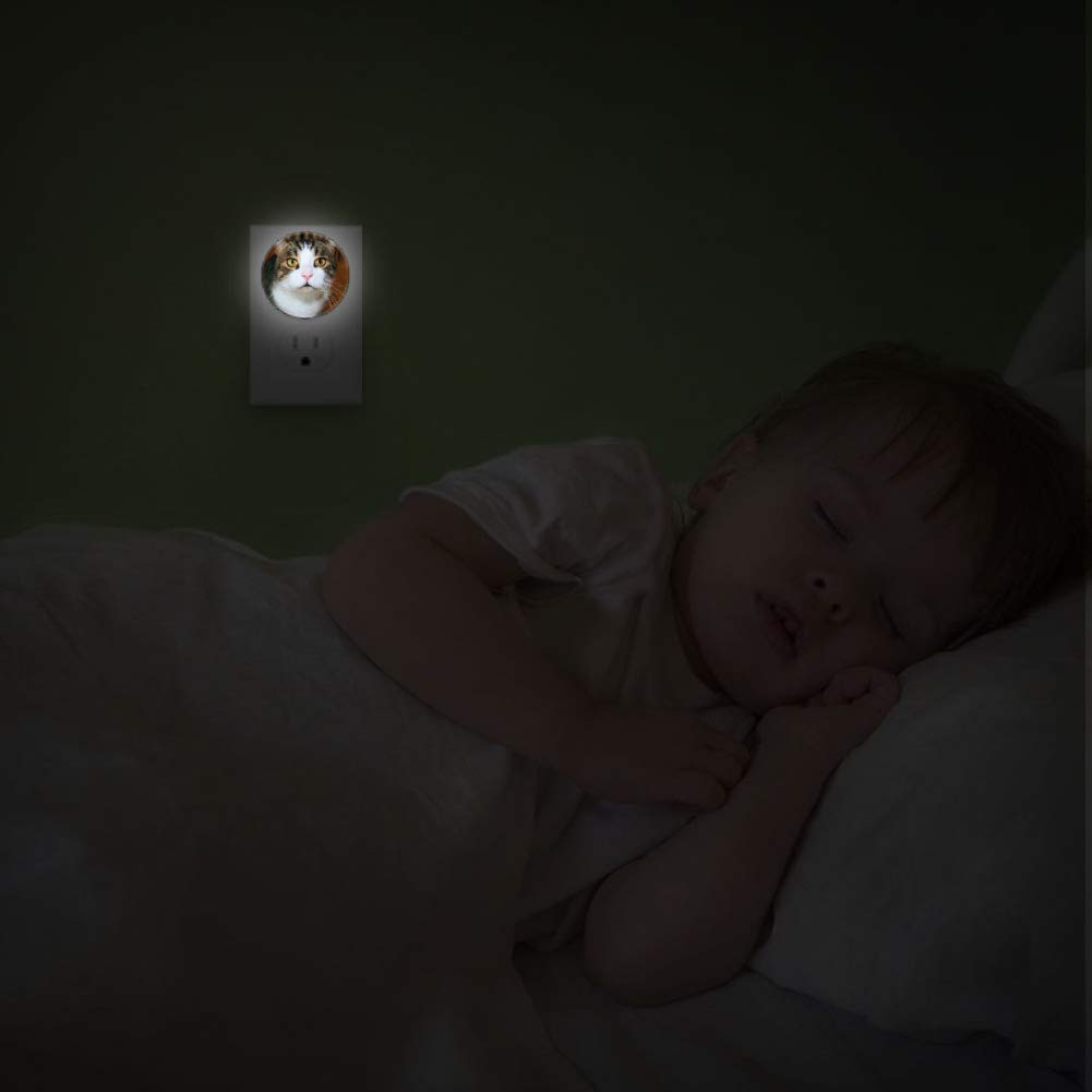 Toddler Night Light with Cat Watching to You Night Light Plug in Wall with Dusk-to-Dawn Sensor 2 Pac
