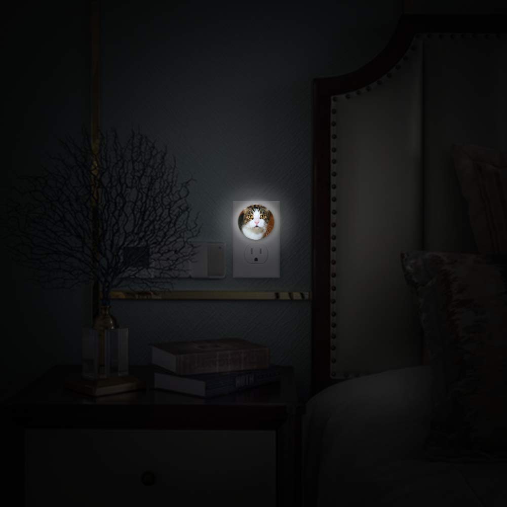 Toddler Night Light with Cat Watching to You Night Light Plug in Wall with Dusk-to-Dawn Sensor 2 Pac