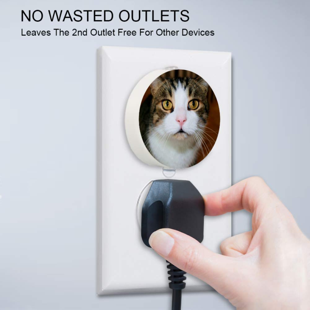 Toddler Night Light with Cat Watching to You Night Light Plug in Wall with Dusk-to-Dawn Sensor 2 Pac