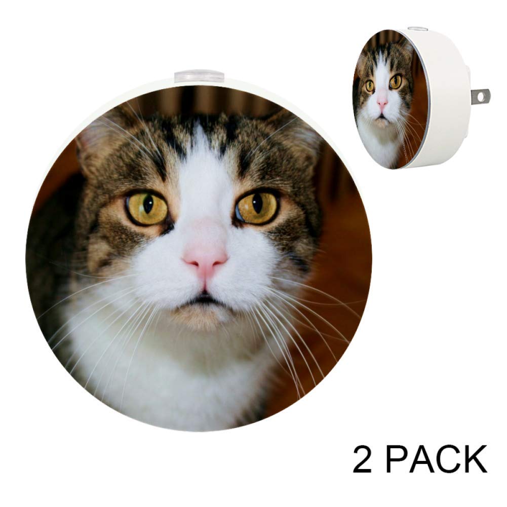 Toddler Night Light with Cat Watching to You Night Light Plug in Wall with Dusk-to-Dawn Sensor 2 Pac