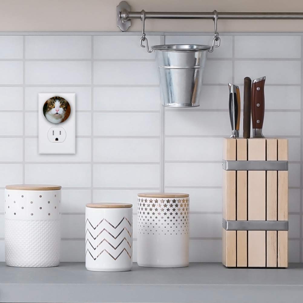 Toddler Night Light with Cat Watching to You Night Light Plug in Wall with Dusk-to-Dawn Sensor 2 Pac