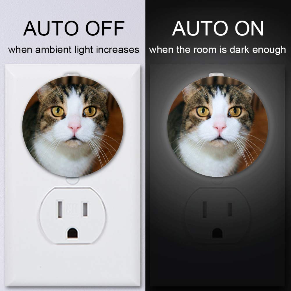 Toddler Night Light with Cat Watching to You Night Light Plug in Wall with Dusk-to-Dawn Sensor 2 Pac