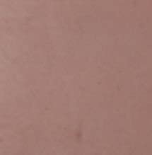 Walttools Tru Tique (Mauve) | Concrete Antiquing Wash Color Pigment (19 Colors) - Enhance Textured S