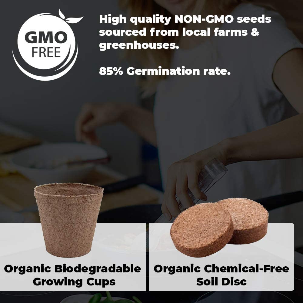 Wellness Tree Keto Garden Diet Grow Kit - Plant Your Own Keto Friendly Low Carb Meals Spinach, Kale