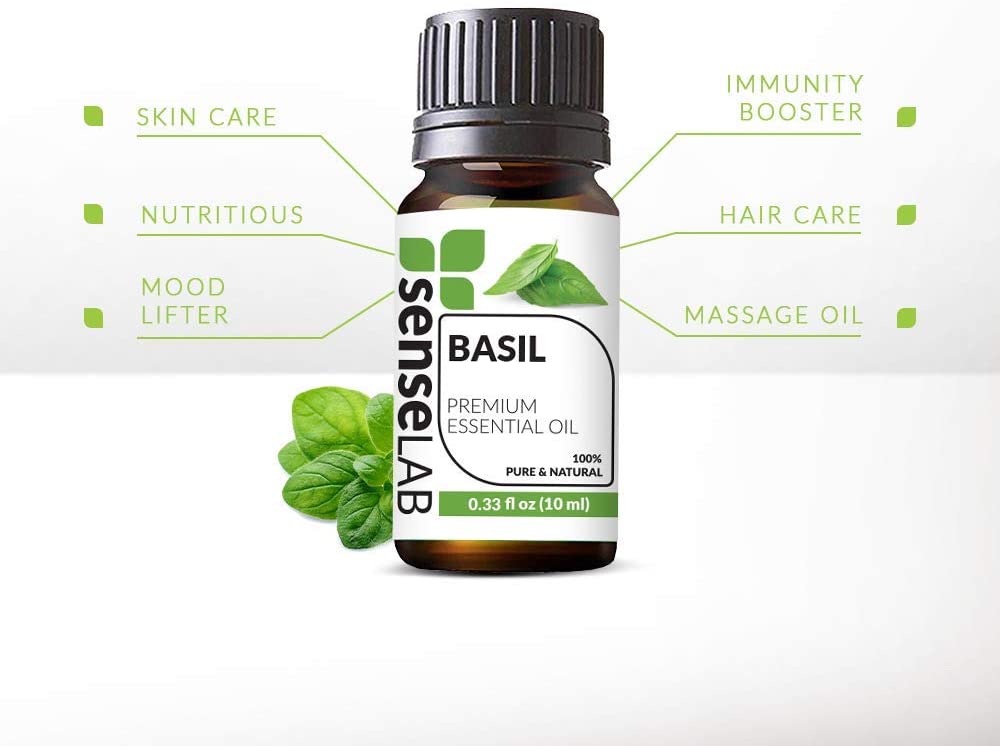 SenseLAB Basil Essential Oil - 100 % Pure Extract Basil Oil Therapeutic Grade - Focus and Relaxation