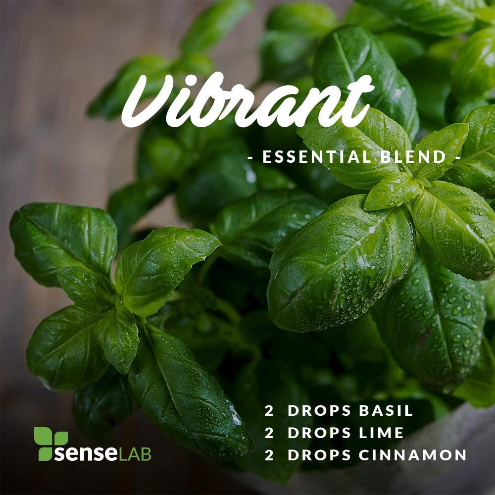 SenseLAB Basil Essential Oil - 100 % Pure Extract Basil Oil Therapeutic Grade - Focus and Relaxation