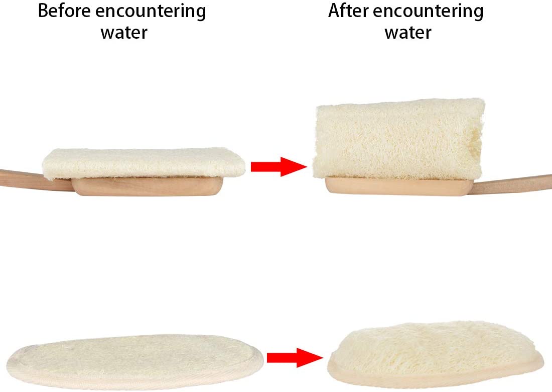 Linkidea 3PCS Bath Loofahs with Long Handle, Body Back Scrubber for Women Men, Natural Exfoliating L