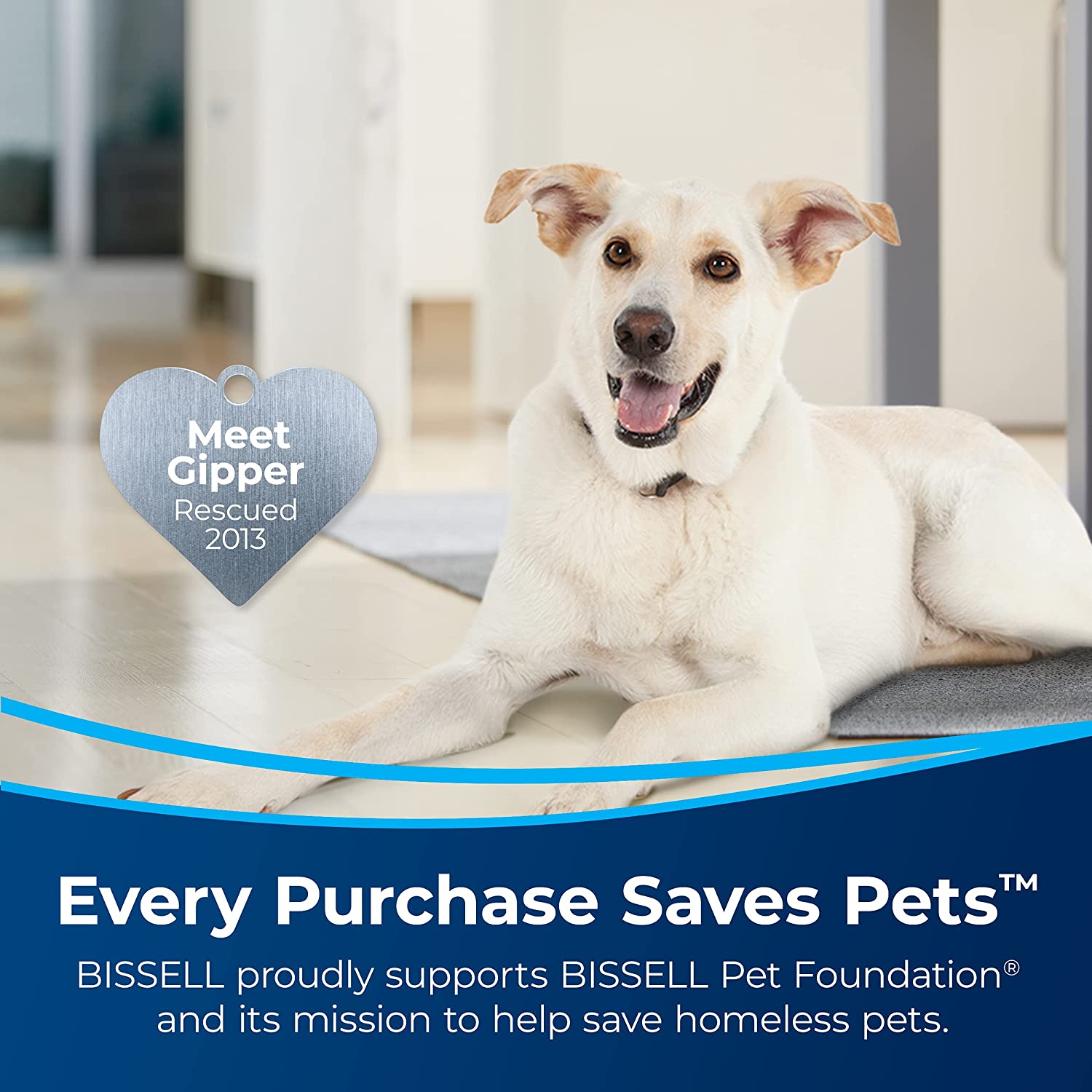 BISSELL Germ Freak Travel Kit with Spot Clean, Sanitize Spray, Wipes & Hand Gel, Protective Gloves &