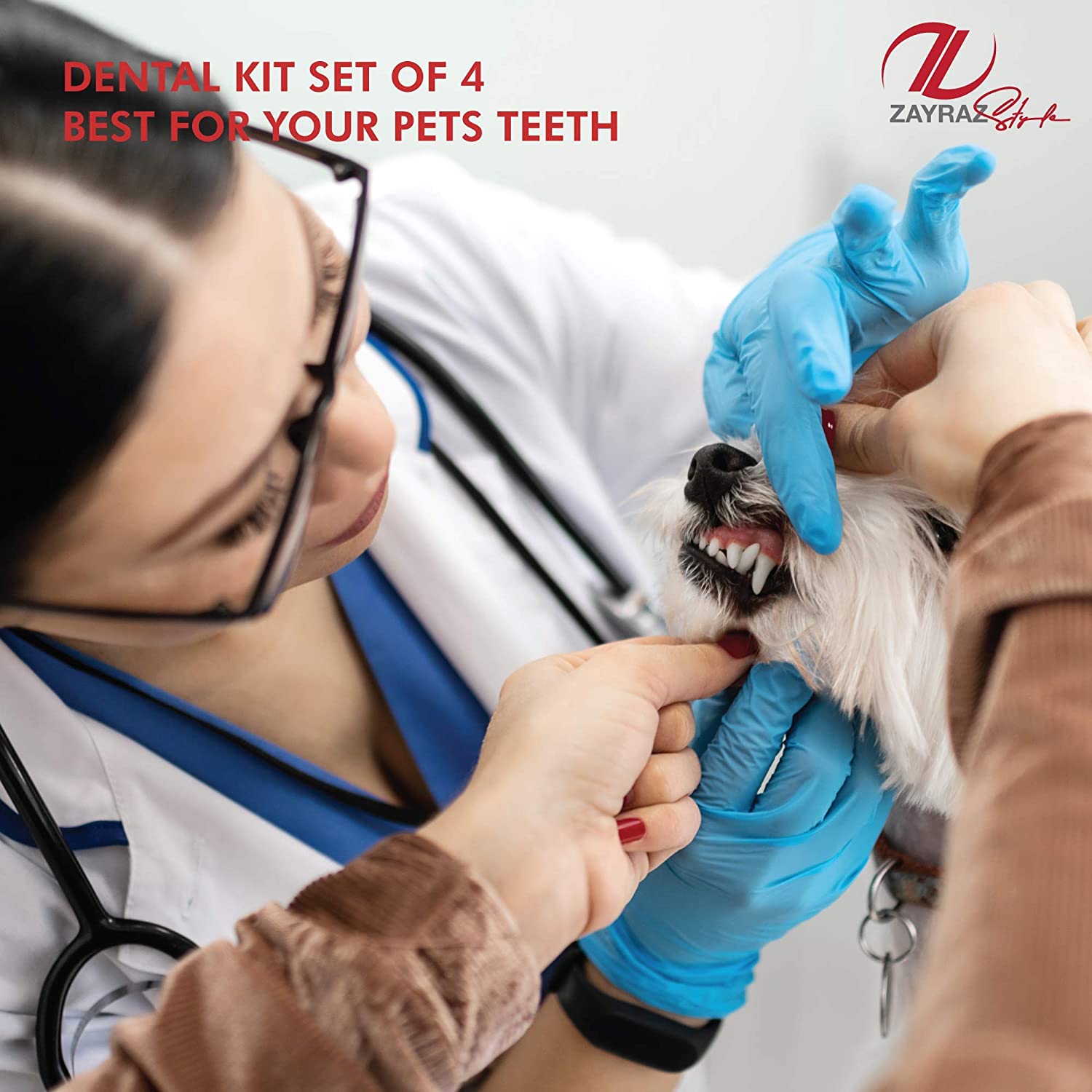 Zayraz Style Professional Hygiene Kit of 4 - Calculus & Plaque Remover Set - Stainless Steel Tarter