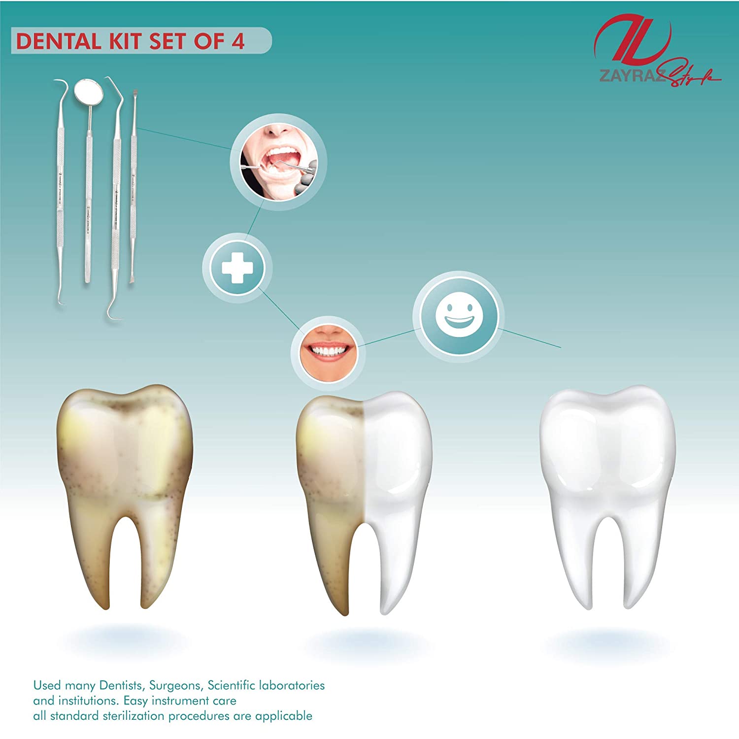 Zayraz Style Professional Hygiene Kit of 4 - Calculus & Plaque Remover Set - Stainless Steel Tarter