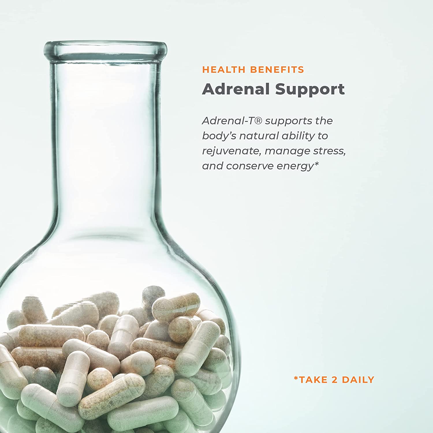 LifeSeasons - Adrenal-T - Adrenal Fatigue Support Supplement - Helps Lower Cortisol - Avoid Burnout