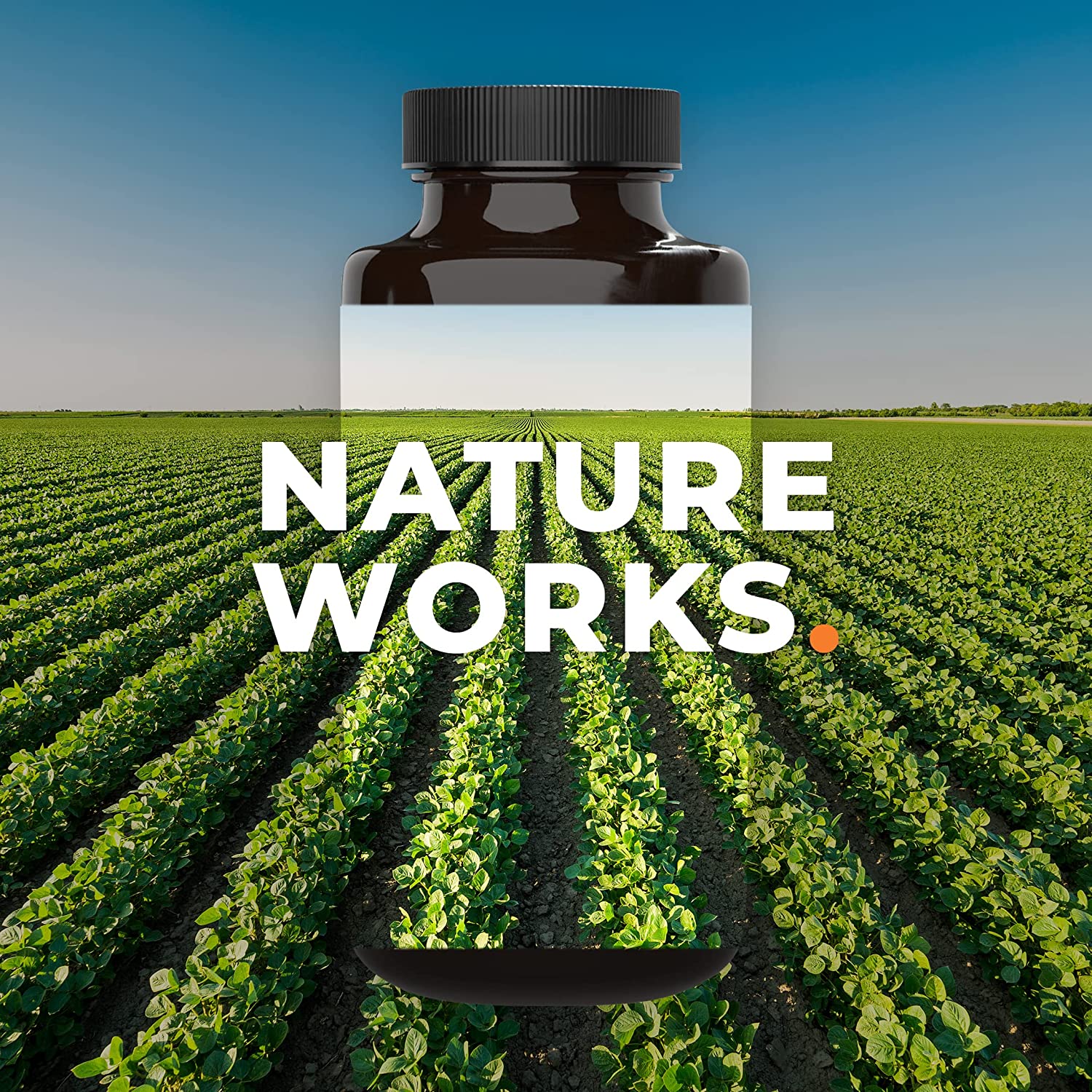 LifeSeasons - Adrenal-T - Adrenal Fatigue Support Supplement - Helps Lower Cortisol - Avoid Burnout