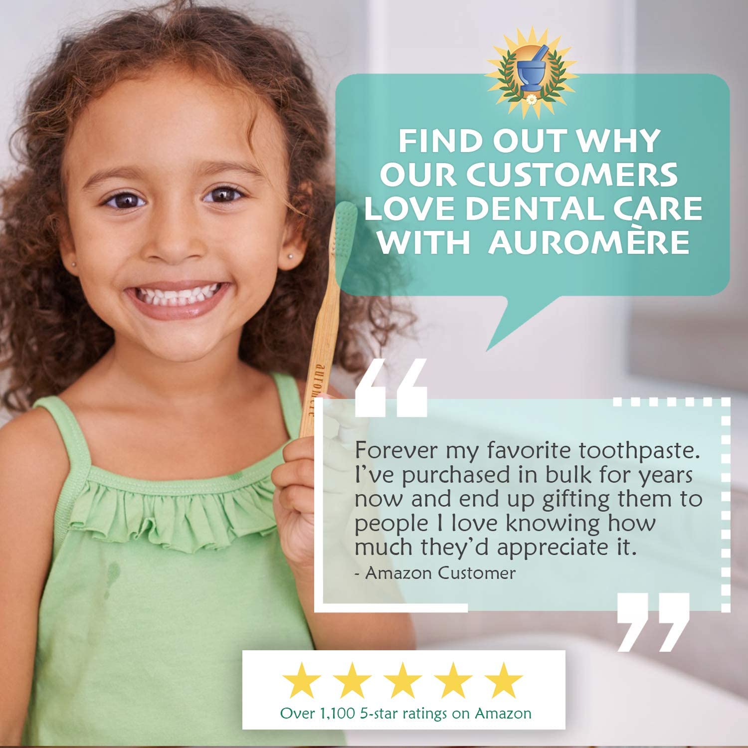 Auromere Ayurvedic Neem Toothpicks - Vegan, Natural, Non GMO, Made from Birchwood (100 Count), 12 Pa