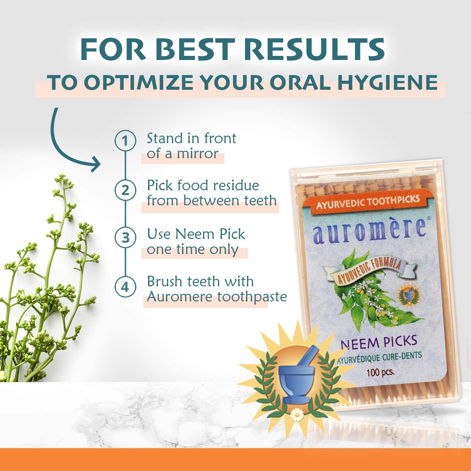 Auromere Ayurvedic Neem Toothpicks - Vegan, Natural, Non GMO, Made from Birchwood (100 Count), 12 Pa