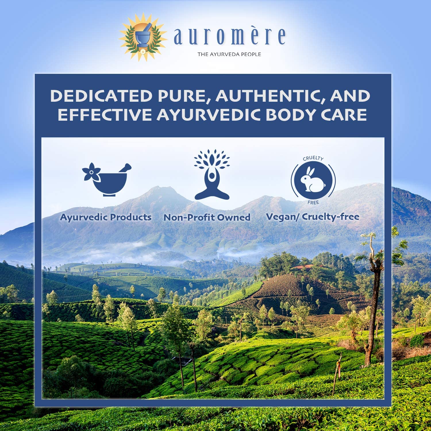 Auromere Ayurvedic Neem Toothpicks - Vegan, Natural, Non GMO, Made from Birchwood (100 Count), 12 Pa