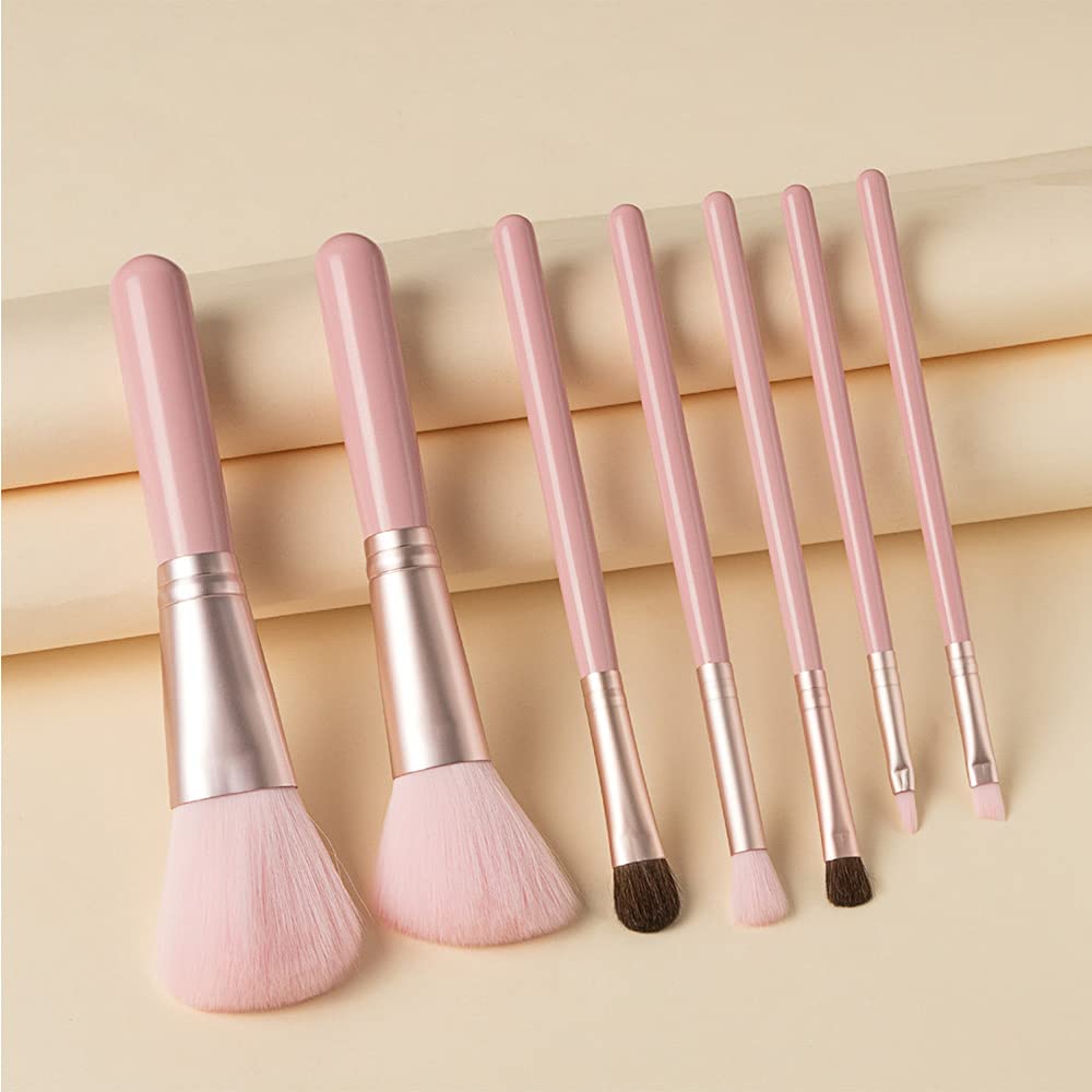 ORIGIN ENVY Makeup Brush Set Pink Blush Eyeshadow Concealer Lip Cosmetics Makeup For Beginner Powder