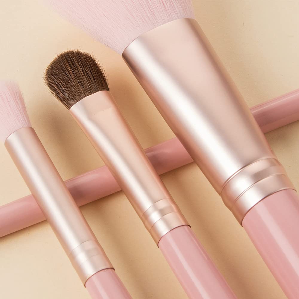 ORIGIN ENVY Makeup Brush Set Pink Blush Eyeshadow Concealer Lip Cosmetics Makeup For Beginner Powder