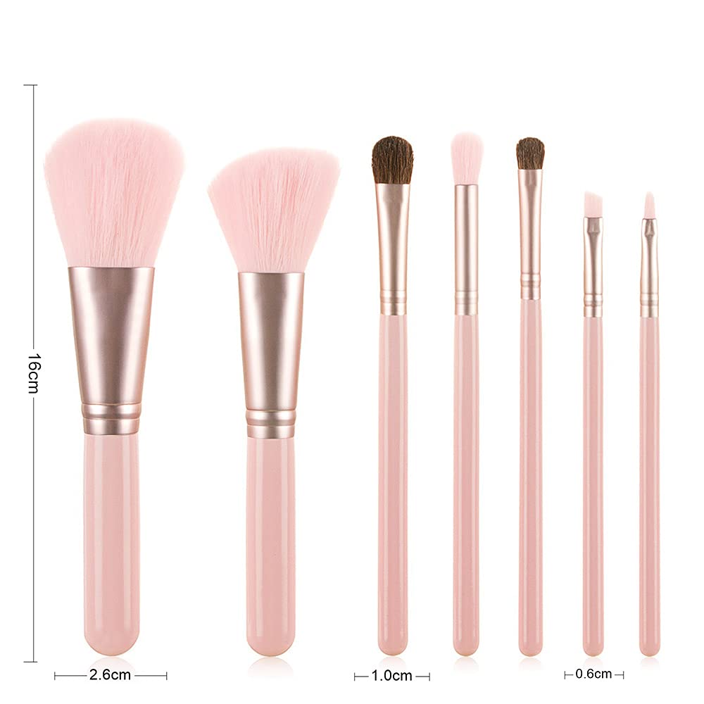 ORIGIN ENVY Makeup Brush Set Pink Blush Eyeshadow Concealer Lip Cosmetics Makeup For Beginner Powder