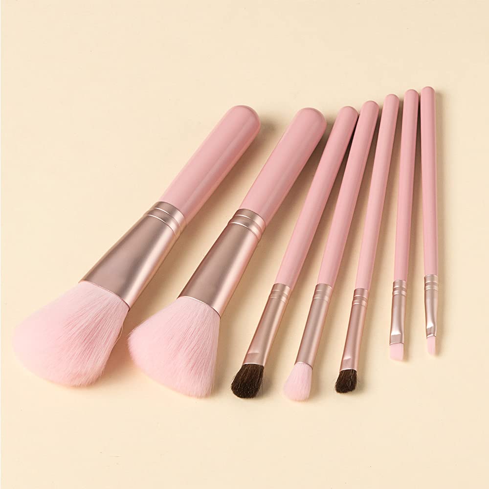 ORIGIN ENVY Makeup Brush Set Pink Blush Eyeshadow Concealer Lip Cosmetics Makeup For Beginner Powder