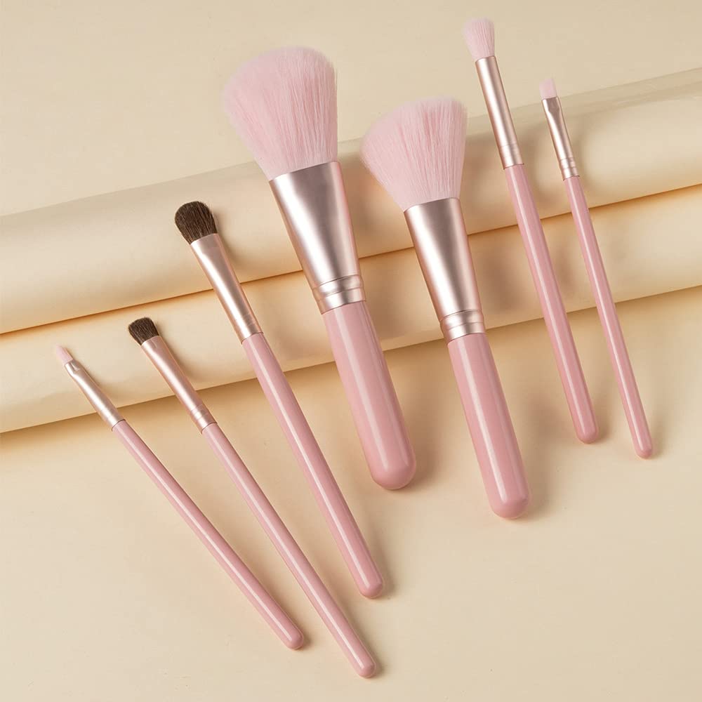 ORIGIN ENVY Makeup Brush Set Pink Blush Eyeshadow Concealer Lip Cosmetics Makeup For Beginner Powder
