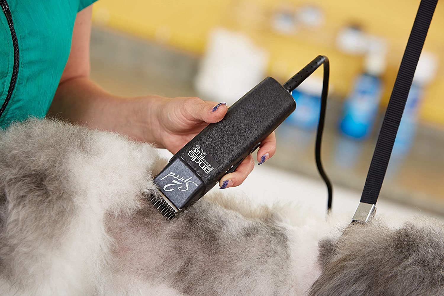 Andis ProClip Speed Detachable Blade Clipper, Professional Animal Grooming