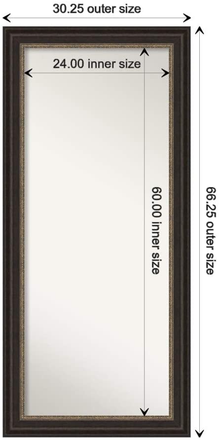 Amanti Art Full Length Mirror (66.5 x 30.5 in.), Paragon Bronze Frame - Floor Mirror, Full Body Mirr