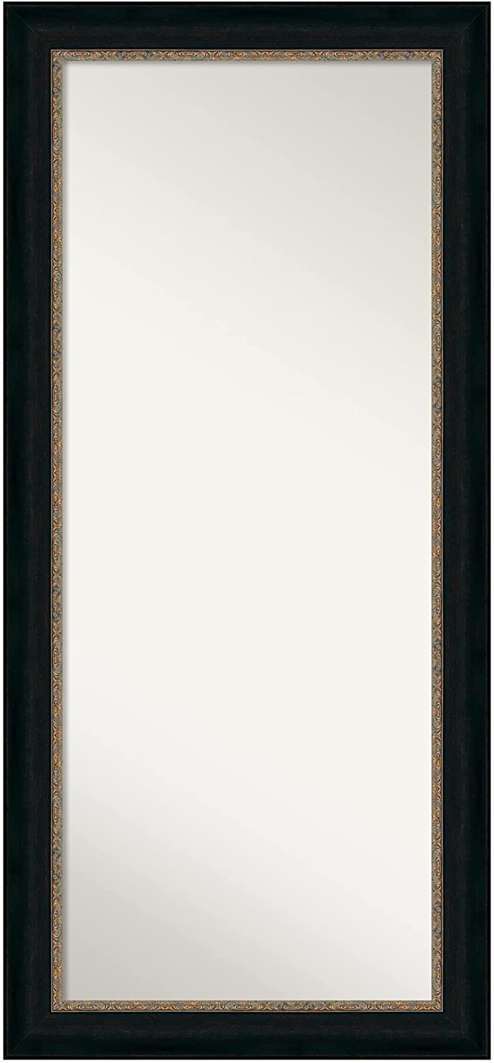 Amanti Art Full Length Mirror (66.5 x 30.5 in.), Paragon Bronze Frame - Floor Mirror, Full Body Mirr