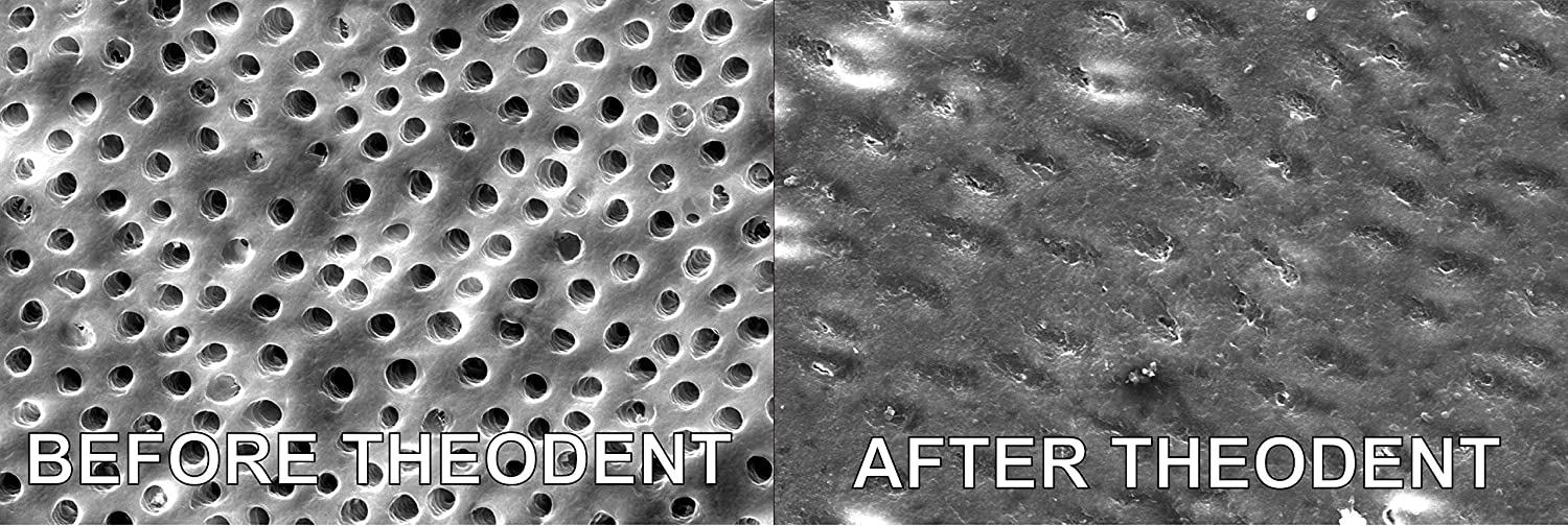 Theodent Toothpaste Fluoride Free Kids Chocolate, 3.4 Ounce